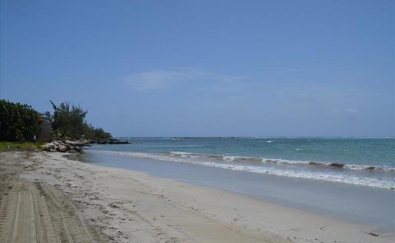 Ocho Rios Under The Palms Villa Екстериор снимка