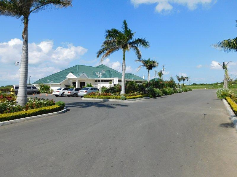 Ocho Rios Under The Palms Villa Екстериор снимка
