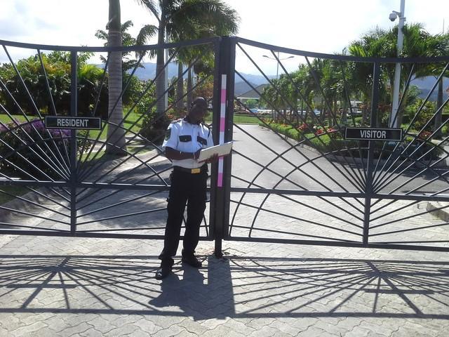 Ocho Rios Under The Palms Villa Екстериор снимка