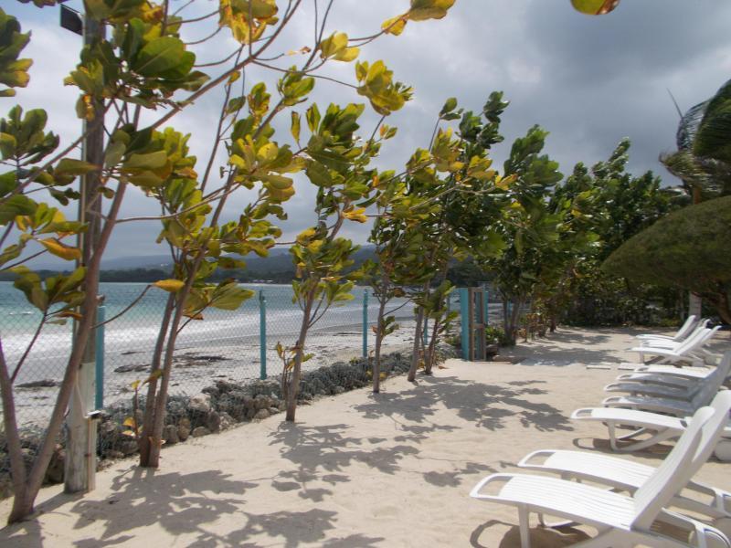 Ocho Rios Under The Palms Villa Екстериор снимка