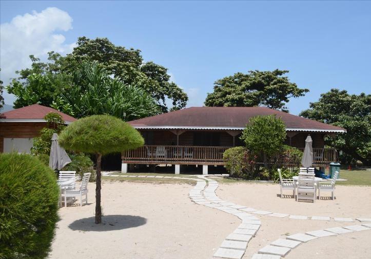 Ocho Rios Under The Palms Villa Екстериор снимка