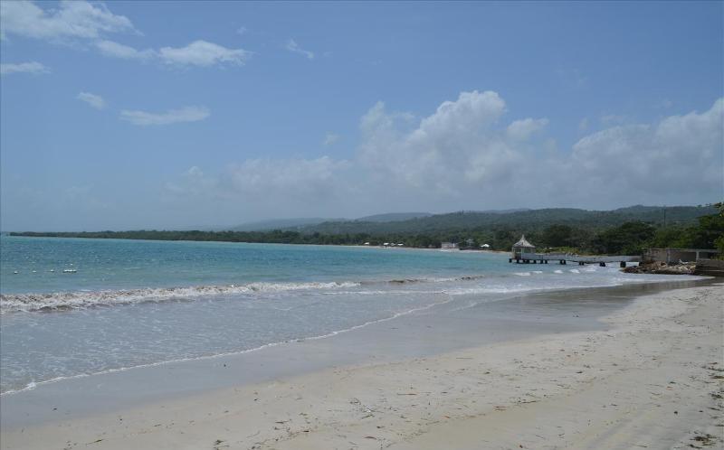 Ocho Rios Under The Palms Villa Екстериор снимка