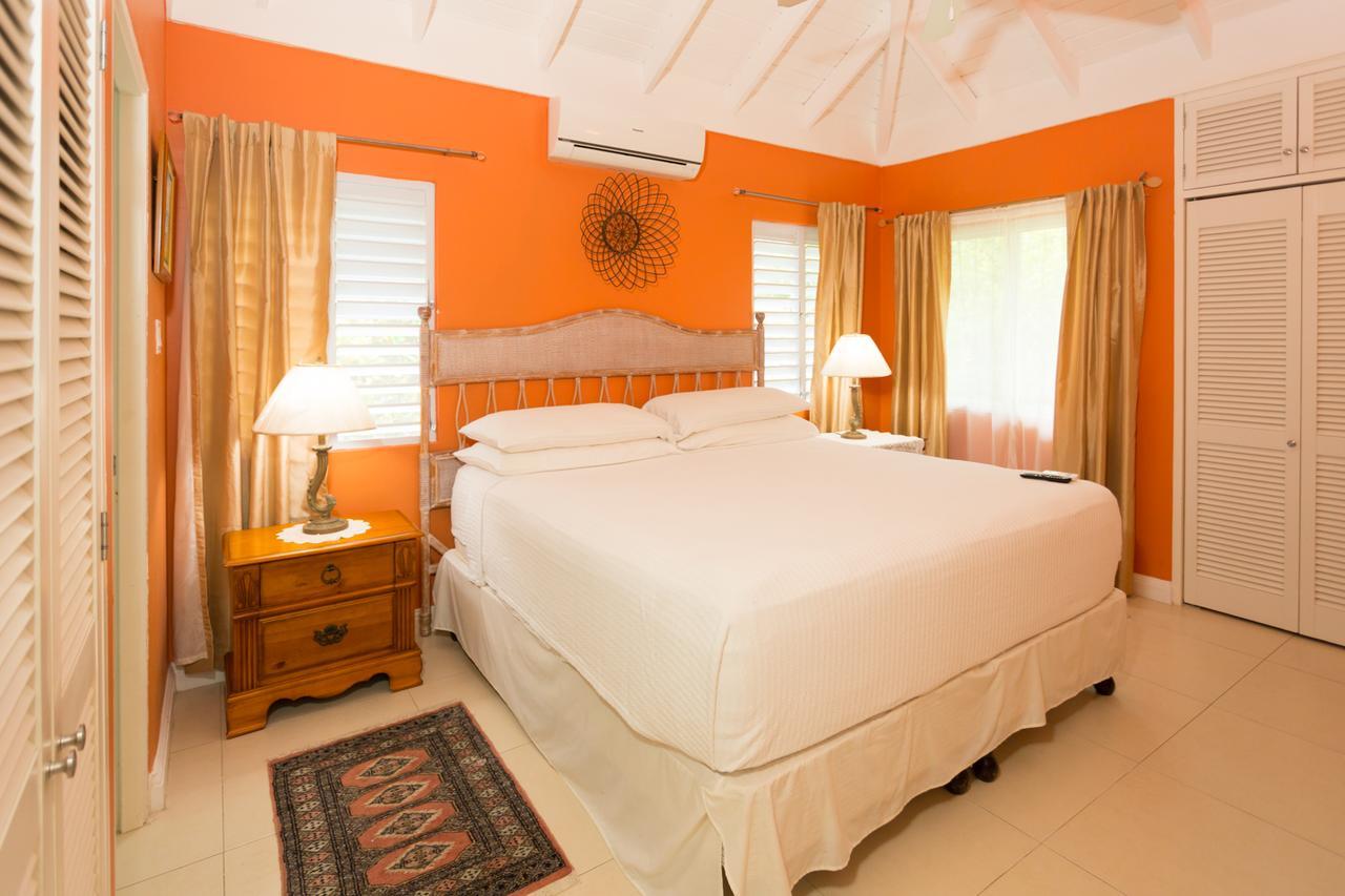 Ocho Rios Under The Palms Villa Екстериор снимка